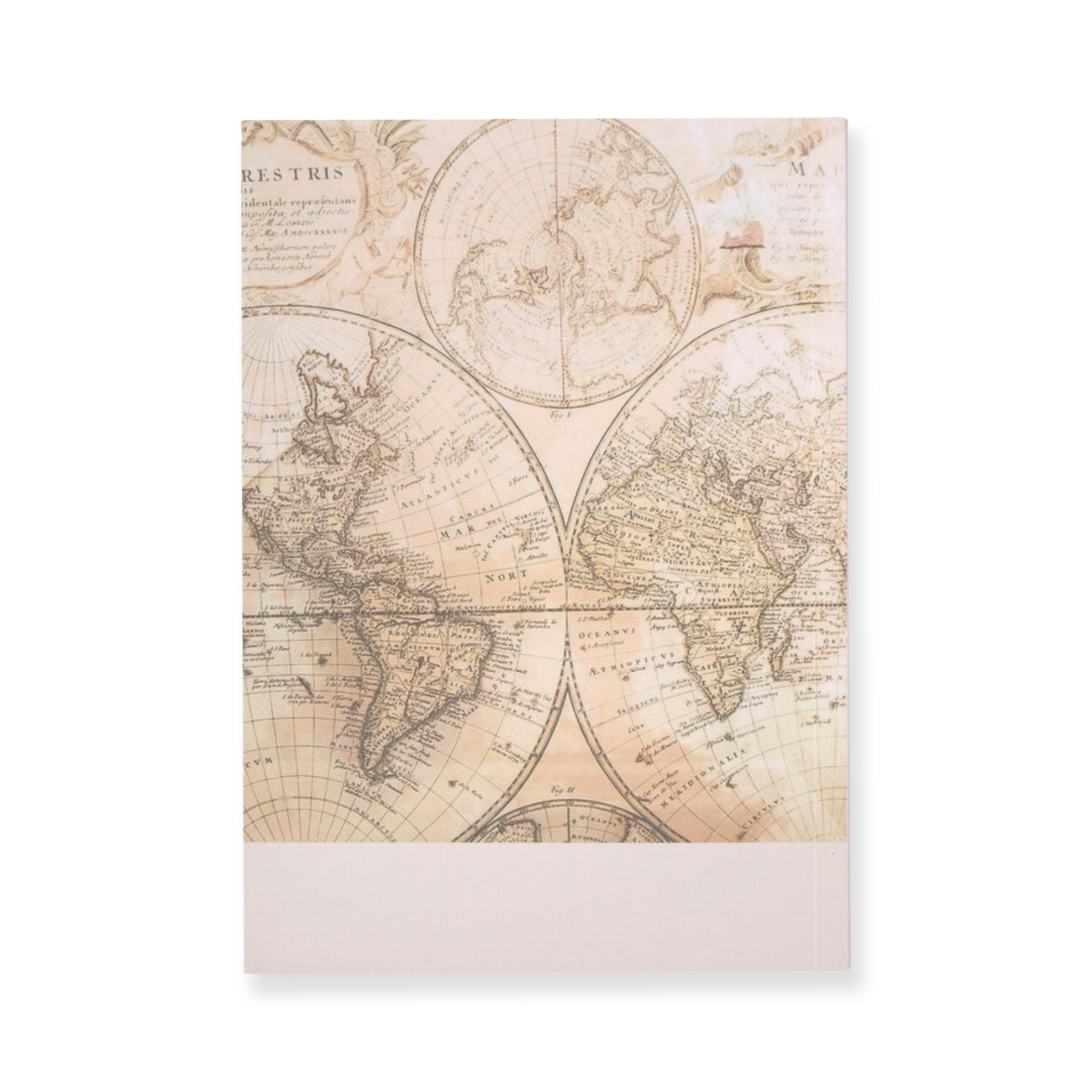Rosy Posy Scrapbooking Paper Pad - Beige - Stationery Pal