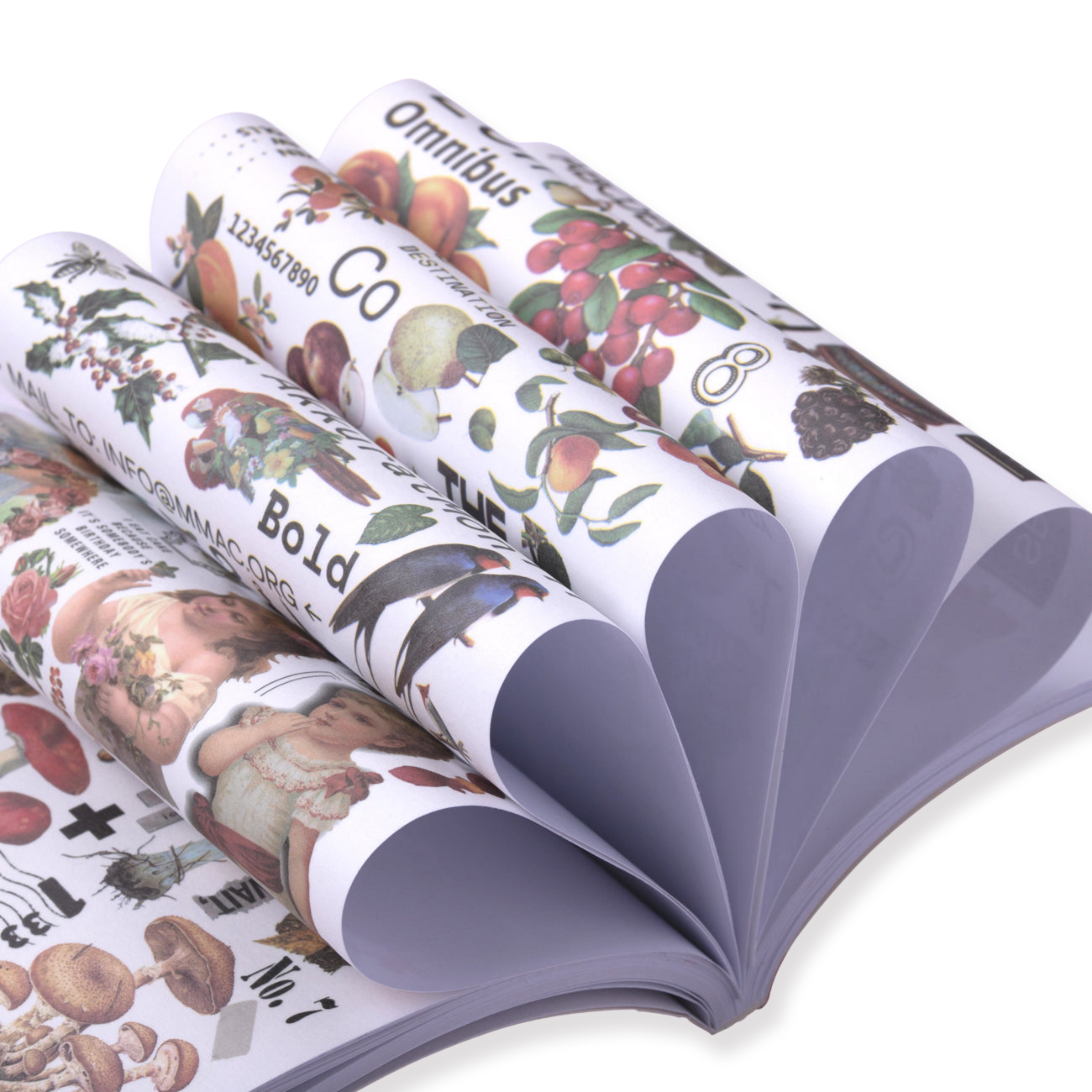 Scrapbooking Paper Pad - Rose - Stationery Pal